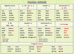 The Plural of Nouns. 8лет (фото 1)